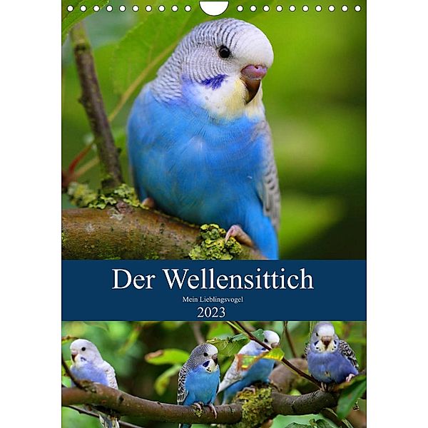 Der Wellensittich - Mein Lieblingsvogel (Wandkalender 2023 DIN A4 hoch), Björn Bergmann