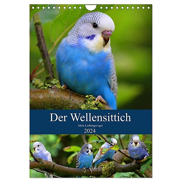 Der Wellensittich - Mein Lieblingsvogel (Wandkalender 2024 DIN A4 hoch), CALVENDO Monatskalender, Björn Bergmann