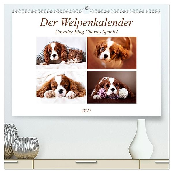 Der Welpenkalender - Cavalier King Charles Spaniel (hochwertiger Premium Wandkalender 2025 DIN A2 quer), Kunstdruck in Hochglanz, Calvendo, Janina Bürger