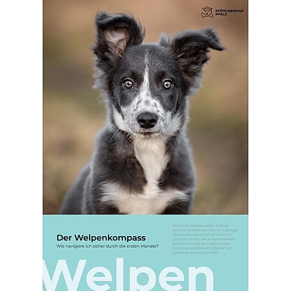 Der Welpenkompass / Expedition Hund Bd.1, Miri Styppa