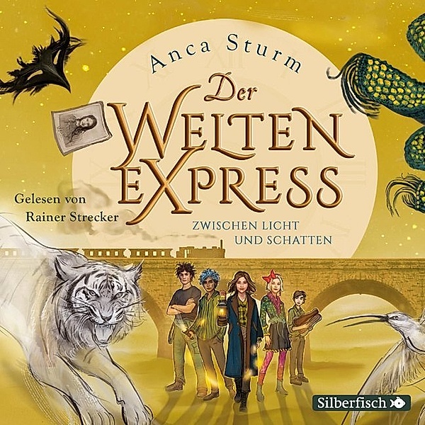 Der Welten-Express - 2 - Zwischen Licht und Schatten, Anca Sturm