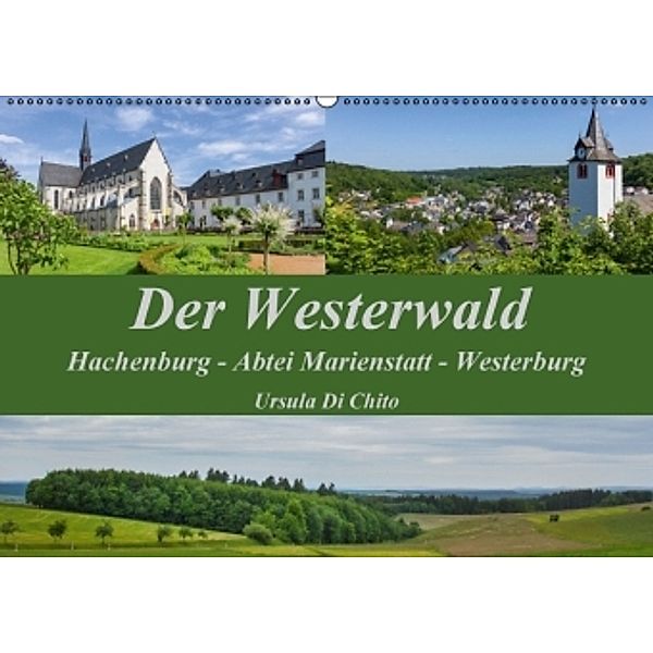 Der Westerwald (Wandkalender 2016 DIN A2 quer), Ursula Di Chito