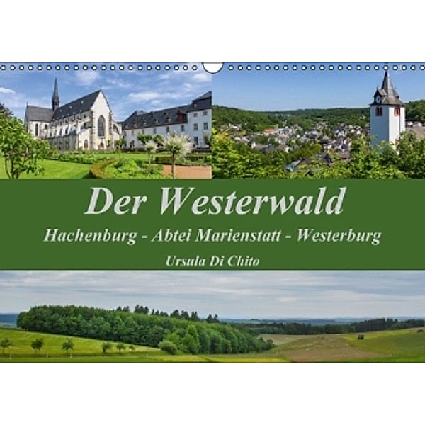 Der Westerwald (Wandkalender 2016 DIN A3 quer), Ursula Di Chito