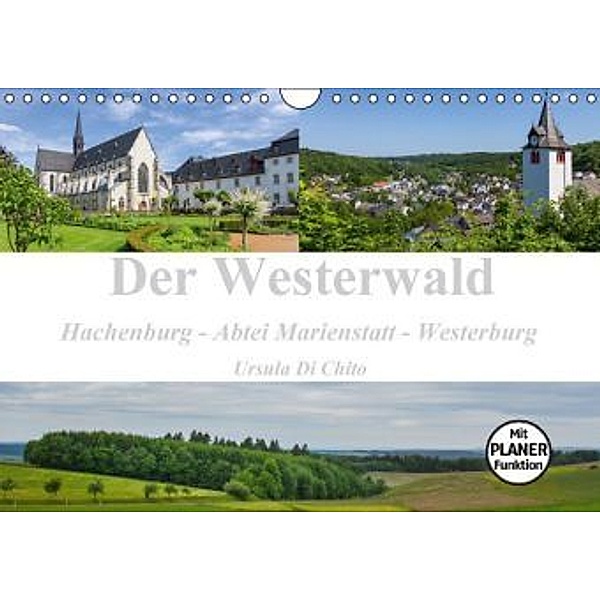 Der Westerwald (Wandkalender 2016 DIN A4 quer), Ursula Di Chito