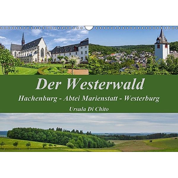 Der Westerwald (Wandkalender 2017 DIN A3 quer), Ursula Di Chito