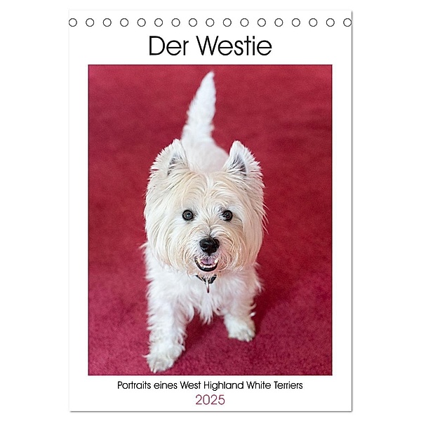 Der Westie - Portrait eines West Highland White Terriers (Tischkalender 2025 DIN A5 hoch), CALVENDO Monatskalender, Calvendo, Angela Rohde