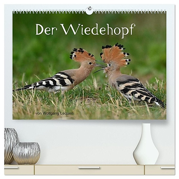 Der Wiedehopf (hochwertiger Premium Wandkalender 2024 DIN A2 quer), Kunstdruck in Hochglanz, Wolfgang Lequen