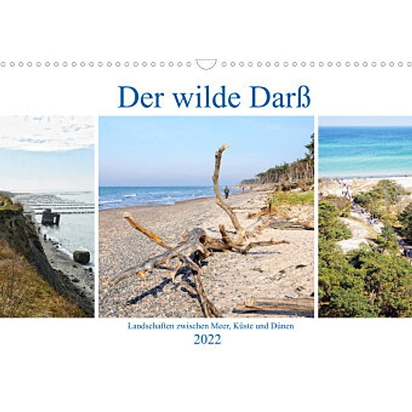 Der wilde Darß - Landschaften zwischen Meer, Küste und Dünen (Wandkalender 2022 DIN A3 quer), Anja Frost