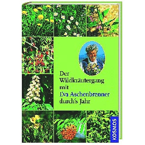 Der Wildkräutergang, mit Audio-CD, Eva Aschenbrenner