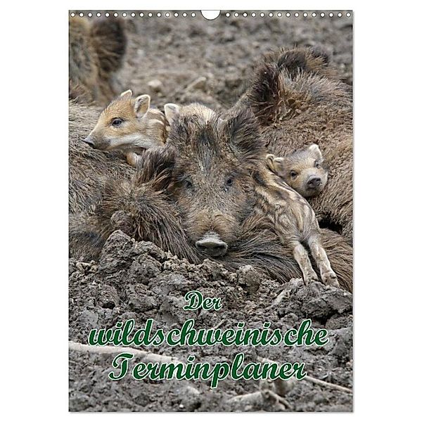 Der wildschweinische Terminplaner (Wandkalender 2024 DIN A3 hoch), CALVENDO Monatskalender, Antje Lindert-Rottke