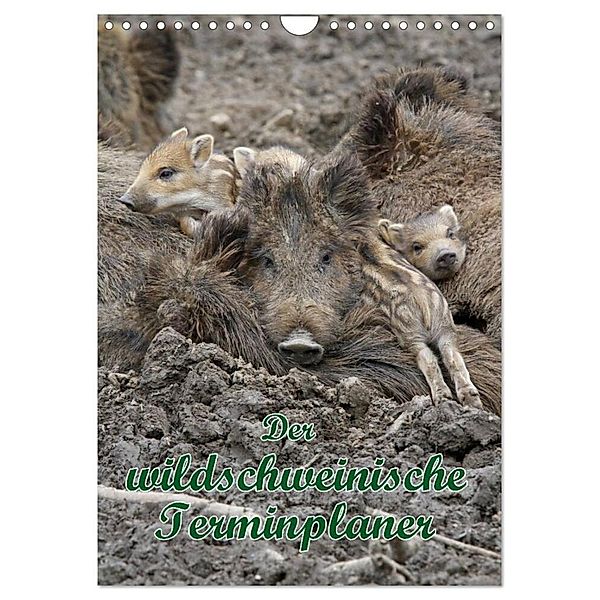Der wildschweinische Terminplaner (Wandkalender 2024 DIN A4 hoch), CALVENDO Monatskalender, Antje Lindert-Rottke