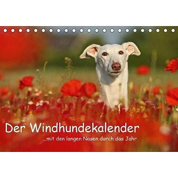 Der Windhundekalender (Tischkalender 2020 DIN A5 quer), Kathrin Köntopp