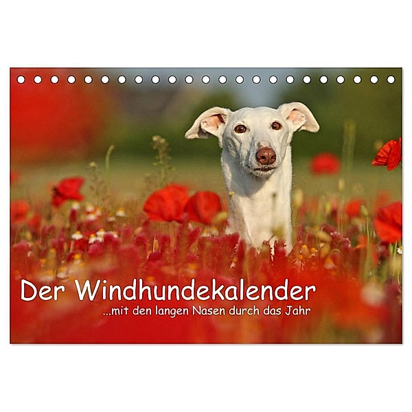 Der Windhundekalender (Tischkalender 2024 DIN A5 quer), CALVENDO Monatskalender, Kathrin Köntopp