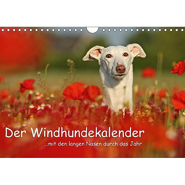 Der Windhundekalender (Wandkalender 2018 DIN A4 quer), Kathrin Köntopp