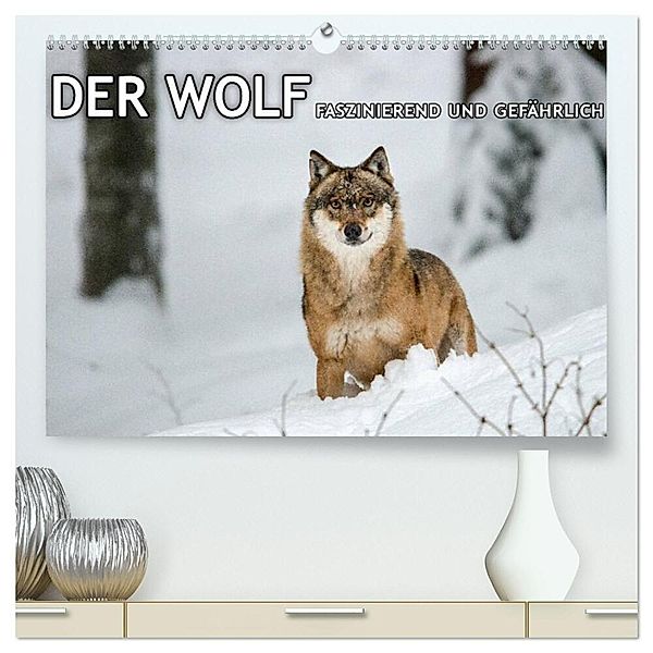DER WOLF - faszinierend und gefährlich (hochwertiger Premium Wandkalender 2024 DIN A2 quer), Kunstdruck in Hochglanz, Christian Haidl