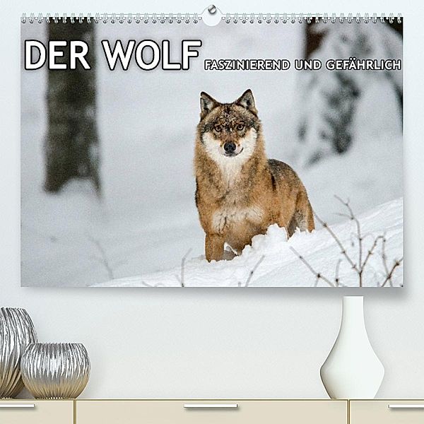 DER WOLF - faszinierend und gefährlich (Premium, hochwertiger DIN A2 Wandkalender 2023, Kunstdruck in Hochglanz), Christian Haidl