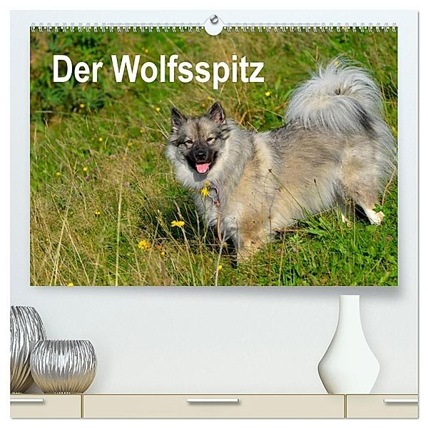 Der Wolfsspitz (hochwertiger Premium Wandkalender 2024 DIN A2 quer), Kunstdruck in Hochglanz, S. Werner-Ney