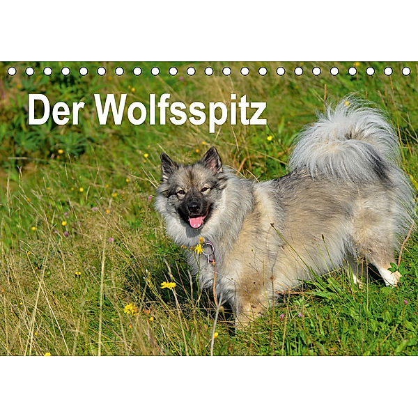 Der Wolfsspitz (Tischkalender 2020 DIN A5 quer), S. Werner-Ney