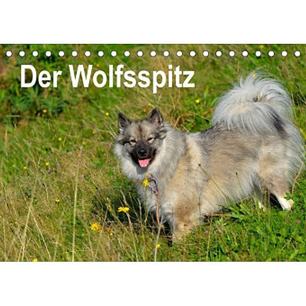 Der Wolfsspitz (Tischkalender 2022 DIN A5 quer), S. Werner-Ney
