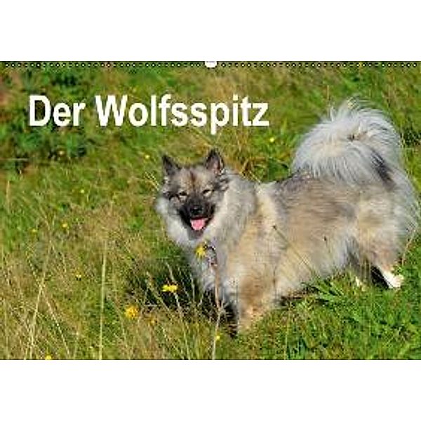 Der Wolfsspitz (Wandkalender 2016 DIN A2 quer), S. Werner-Ney
