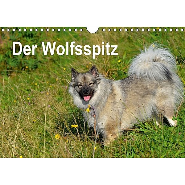 Der Wolfsspitz (Wandkalender 2018 DIN A4 quer), S. Werner-Ney