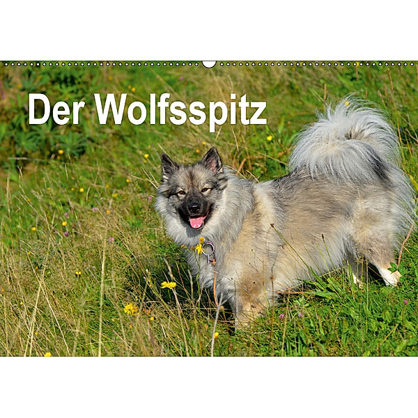 Der Wolfsspitz (Wandkalender 2019 DIN A2 quer), S. Werner-Ney