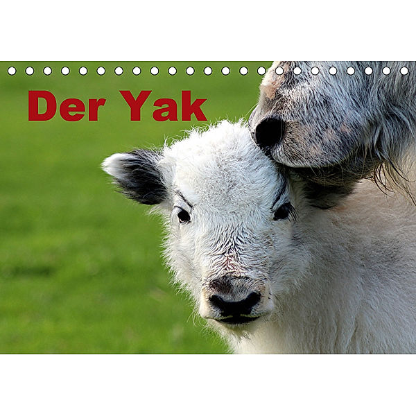 Der Yak (Tischkalender 2019 DIN A5 quer), Bernd Witkowski