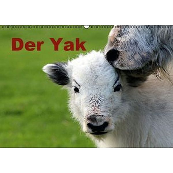 Der Yak (Wandkalender 2015 DIN A2 quer), Bernd Witkowski