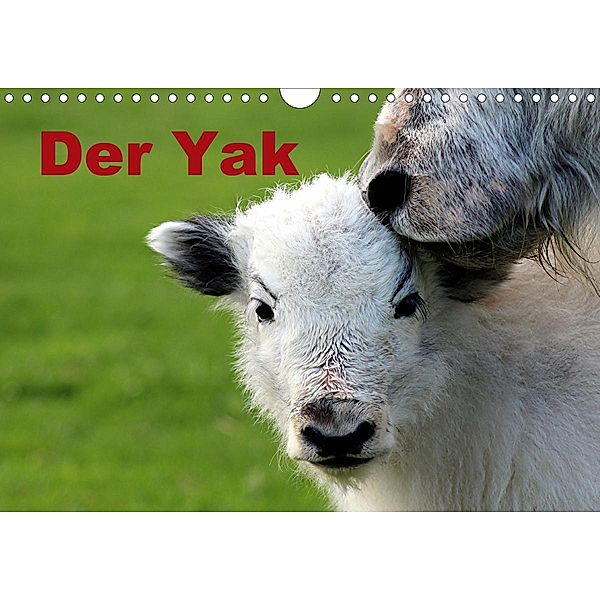 Der Yak (Wandkalender 2021 DIN A4 quer), Bernd Witkowski