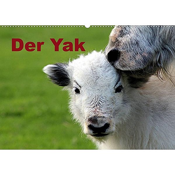 Der Yak (Wandkalender 2023 DIN A2 quer), Bernd Witkowski