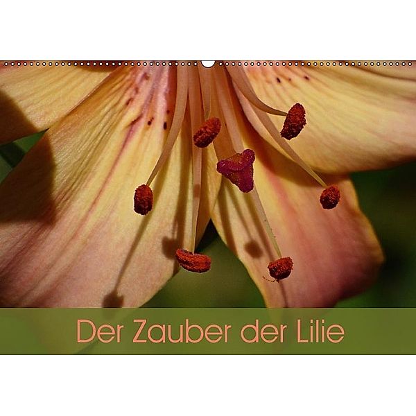 Der Zauber der Lilie (Wandkalender 2017 DIN A2 quer), Beate Vogl