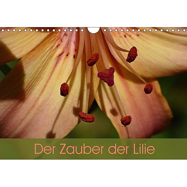 Der Zauber der Lilie (Wandkalender 2017 DIN A4 quer), Beate Vogl