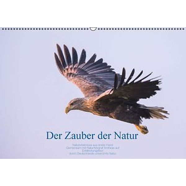 Der Zauber der Natur (Wandkalender 2016 DIN A2 quer), Andreas Holzhausen