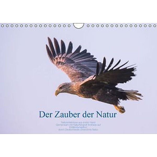 Der Zauber der Natur (Wandkalender 2016 DIN A4 quer), Andreas Holzhausen