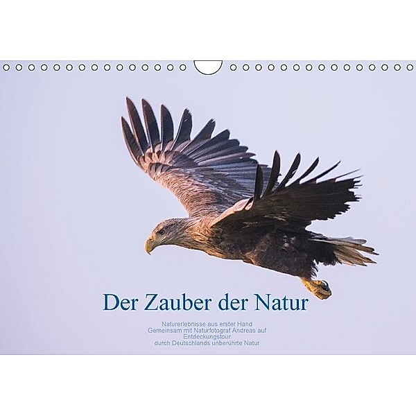 Der Zauber der Natur (Wandkalender 2017 DIN A4 quer), Andreas Holzhausen