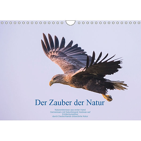 Der Zauber der Natur (Wandkalender 2019 DIN A4 quer), Andreas Holzhausen