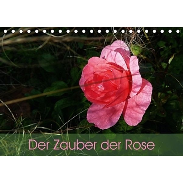 Der Zauber der Rose (Tischkalender 2016 DIN A5 quer), Beate Vogl