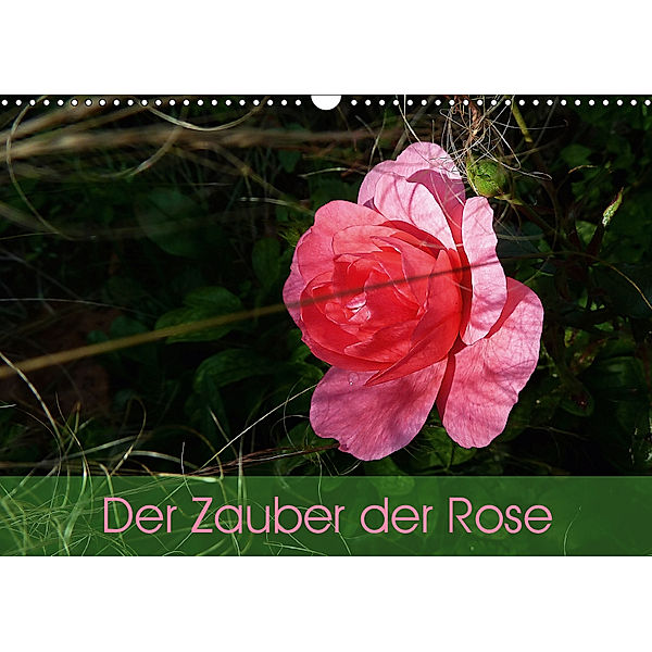 Der Zauber der Rose (Wandkalender 2019 DIN A3 quer), Beate Vogl