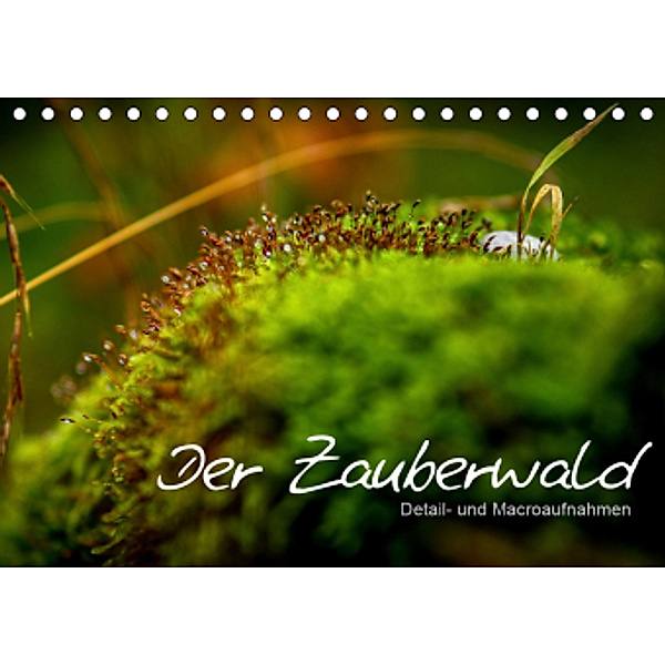 Der Zauberwald - Detailaufnahmen (Tischkalender 2021 DIN A5 quer), Saskia Katharina Siebel Sensiebelfotografie