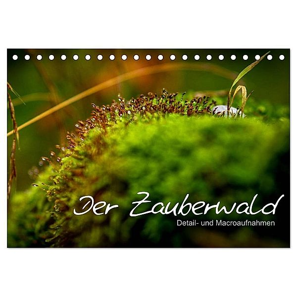 Der Zauberwald - Detailaufnahmen (Tischkalender 2024 DIN A5 quer), CALVENDO Monatskalender, Saskia Katharina Siebel Sensiebelfotografie