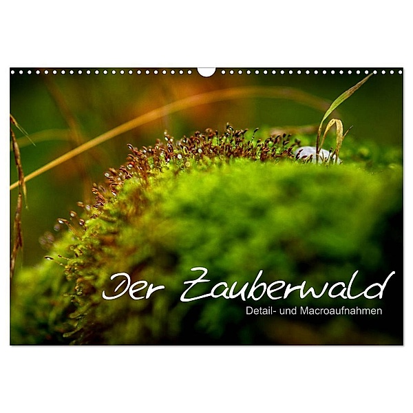 Der Zauberwald - Detailaufnahmen (Wandkalender 2024 DIN A3 quer), CALVENDO Monatskalender, Saskia Katharina Siebel Sensiebelfotografie