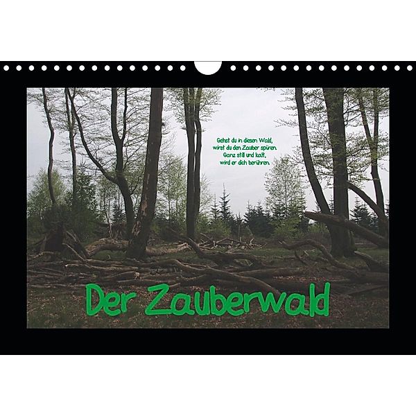 Der Zauberwald (Wandkalender 2020 DIN A4 quer), Uwe Bernds
