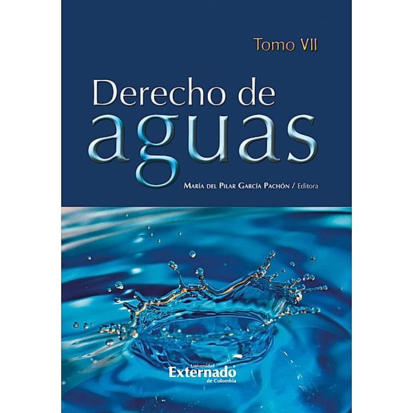 Derecho de Aguas Tomo VII, María del Pilar García Pachón