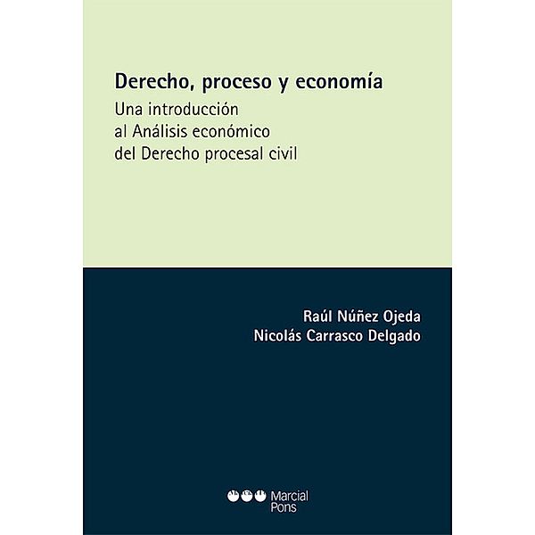 Derecho, proceso y economía / Monografías Jurídicas, Raúl Núñez Ojeda, Nicolás Carrasco Delgado