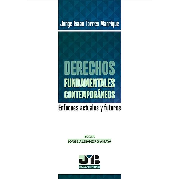 Derechos fundamentales contemporáneos, Jorge Isaac Torres Manrique