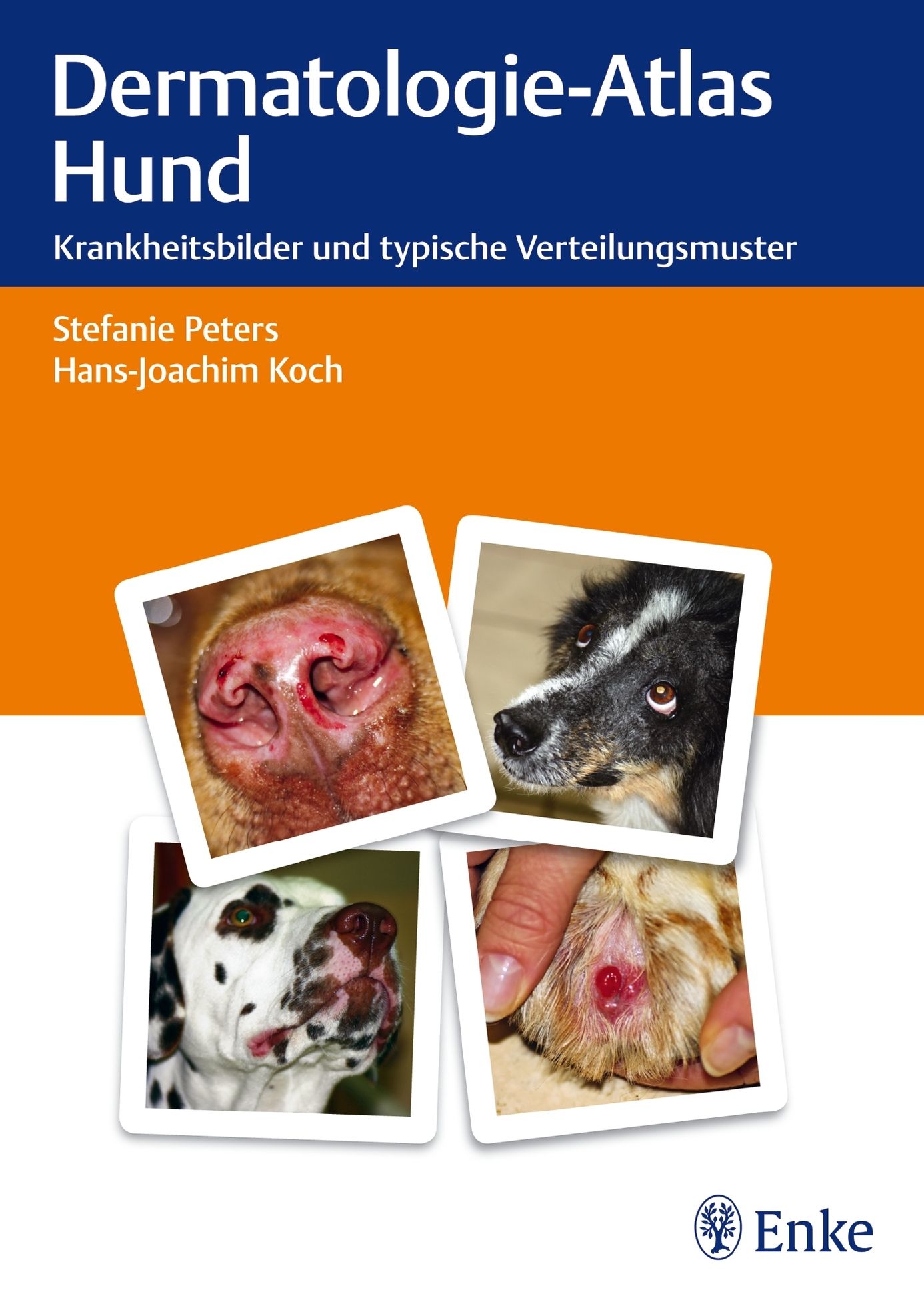 Dermatologie-Atlas Hund eBook v. Stefanie Peters u. weitere | Weltbild
