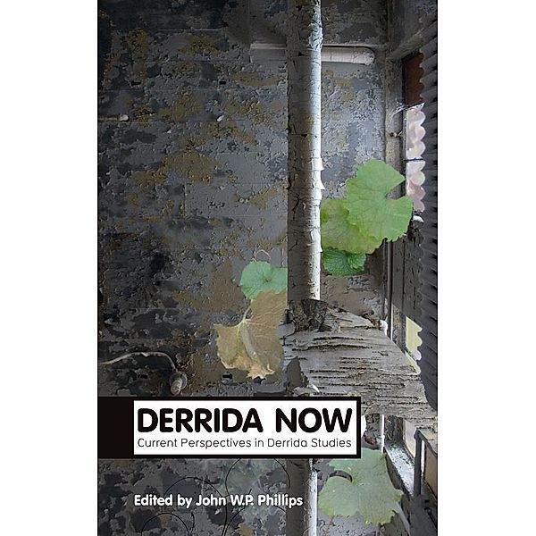 Derrida Now / Polity Theory Now, John W. P. Phillips