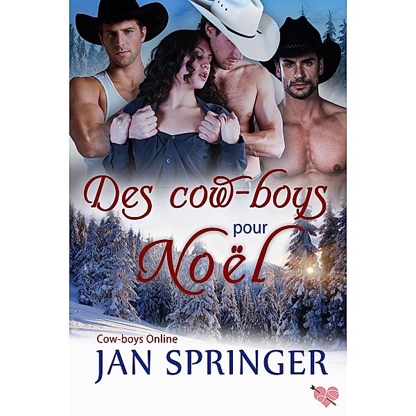 Des cow-boys pour Noël (Cow-boys Online, #1) / Cow-boys Online, Jan Springer