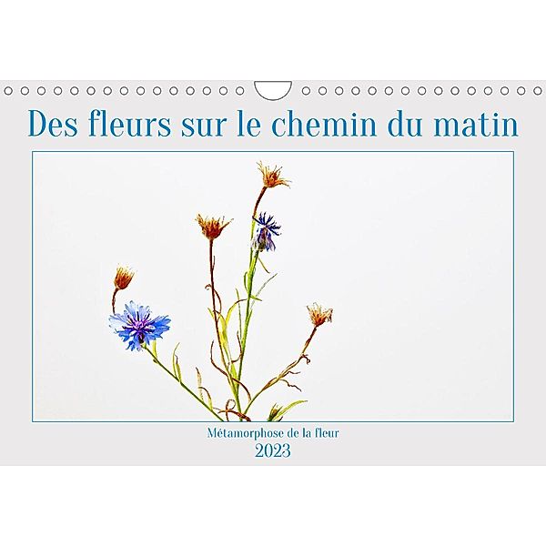 Des fleurs sur le chemin du matin (Calendrier mural 2023 DIN A4 horizontal), Clemens Stenner