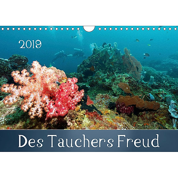 Des Tauchers Freud (Wandkalender 2019 DIN A4 quer), Bianca Schumann